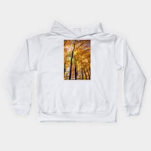 Autumn Leaves Above Kids Hoodie